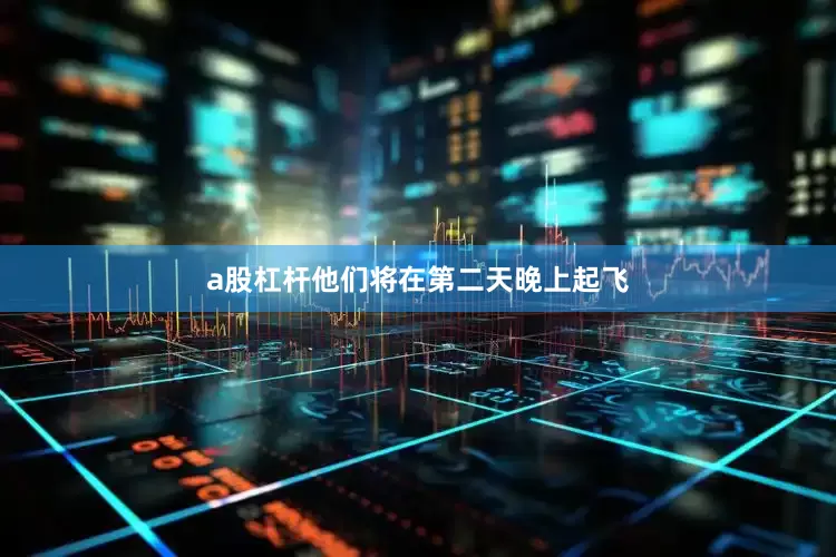 a股杠杆他们将在第二天晚上起飞
