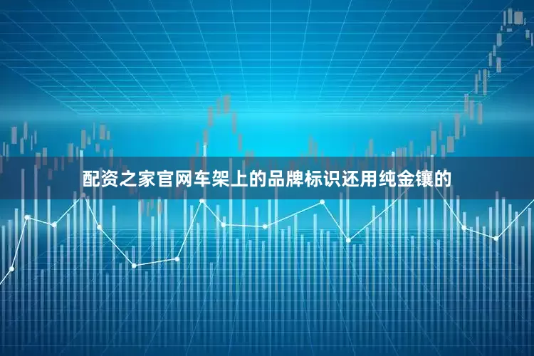 配资之家官网车架上的品牌标识还用纯金镶的