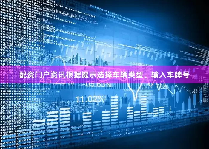 配资门户资讯根据提示选择车辆类型、输入车牌号